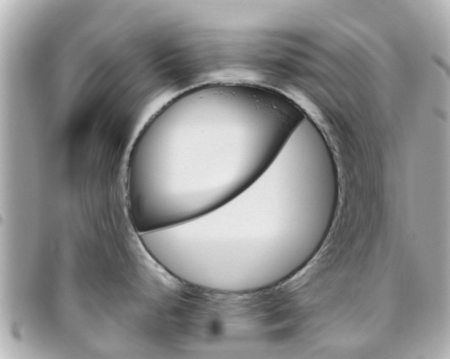 X0000096451248200801241133