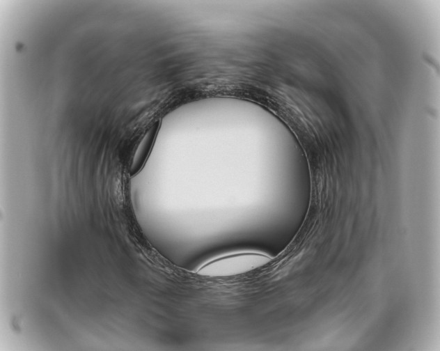 X0000096451250200801241132