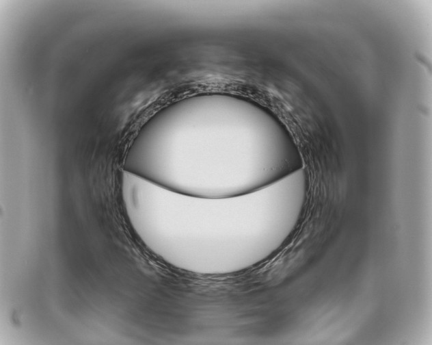 X0000096451253200801241132