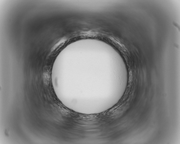 X0000096451254200801241132