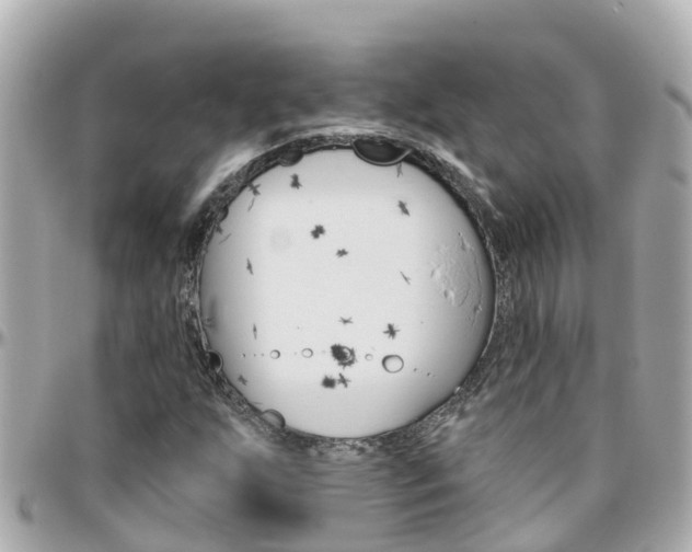 X0000096451255200801241132