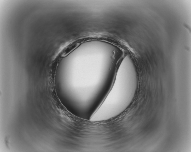 X0000096451256200801241132