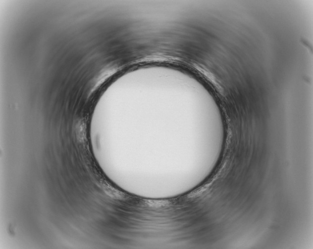 X0000096451258200801241132