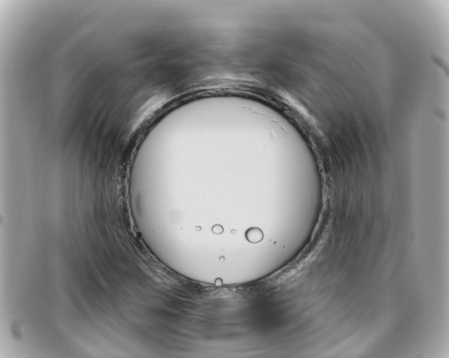 X0000096451259200801241132