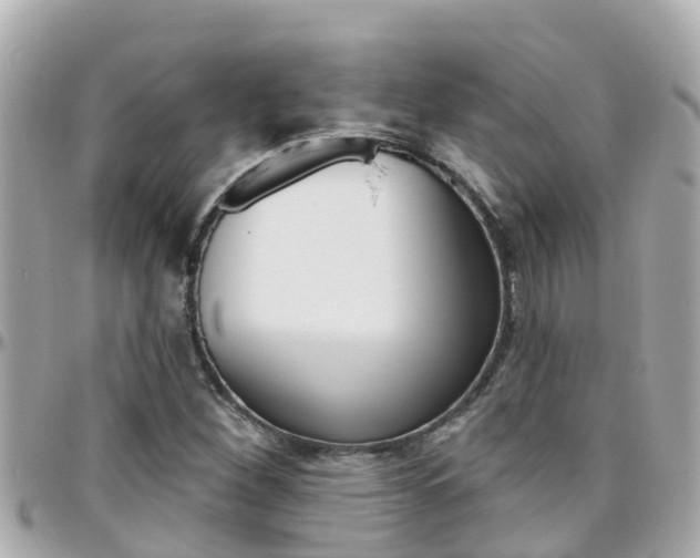 X0000096451260200801241132
