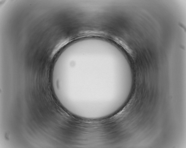 X0000096451261200801241132
