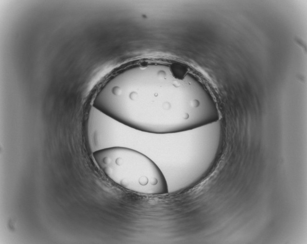 X0000096451263200801241132