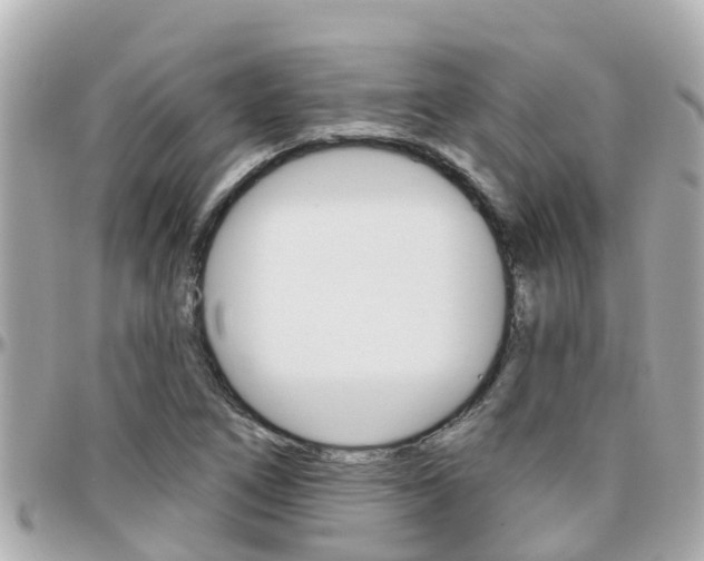X0000096451266200801241132