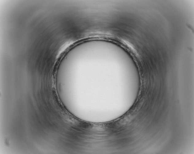 X0000096451267200801241132