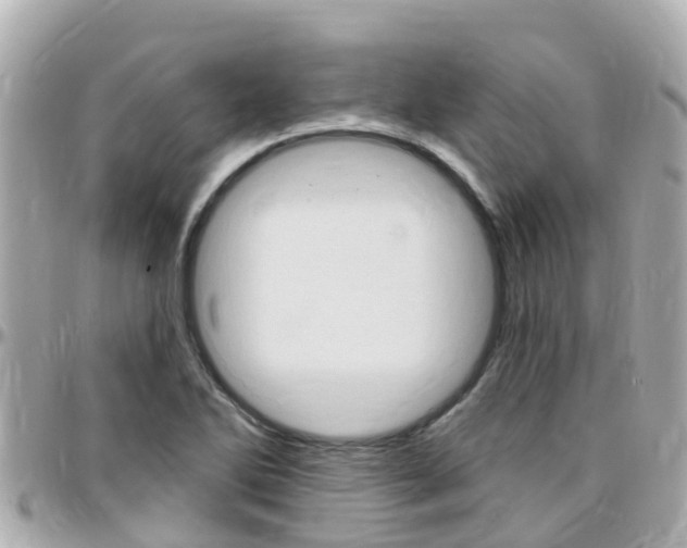 X0000096451270200801241132
