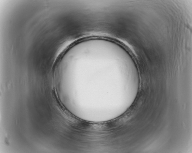X0000096451271200801241132