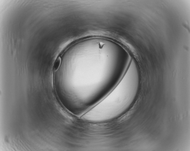 X0000096451272200801241132