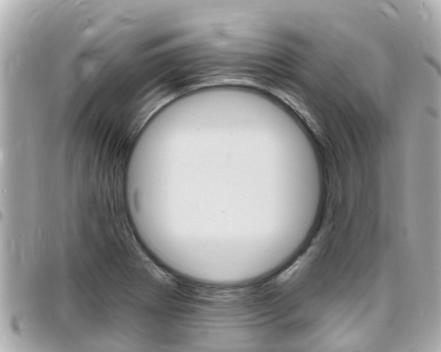 X0000096451273200801241132