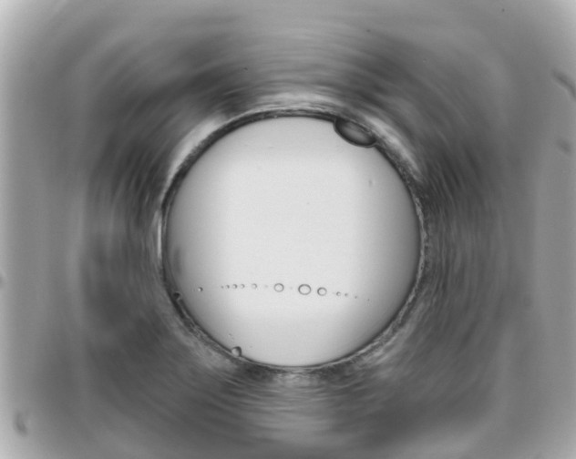 X0000096451275200801241132