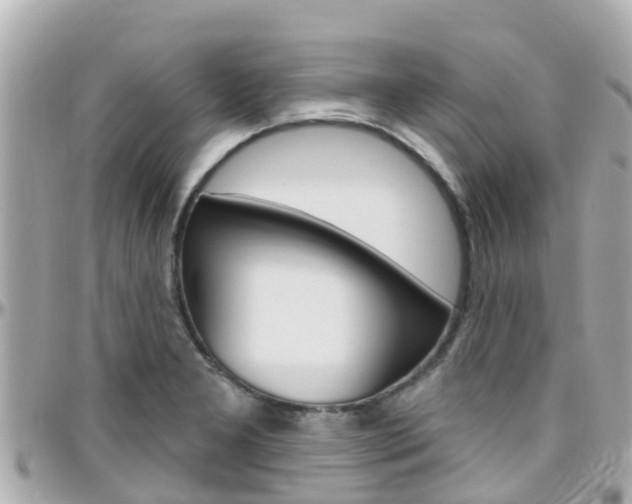 X0000096451277200801241132
