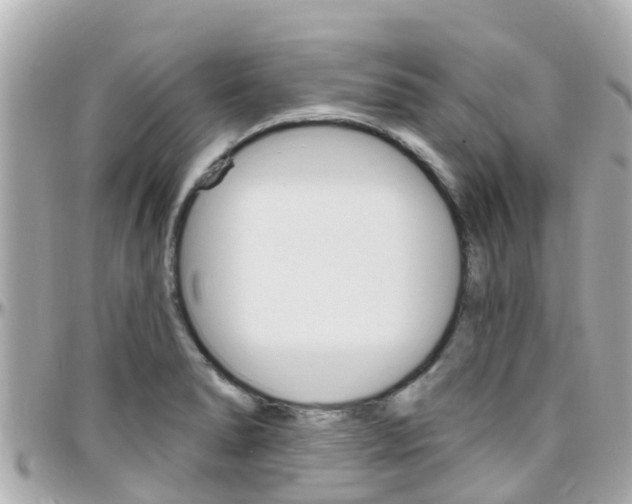 X0000096451278200801241132