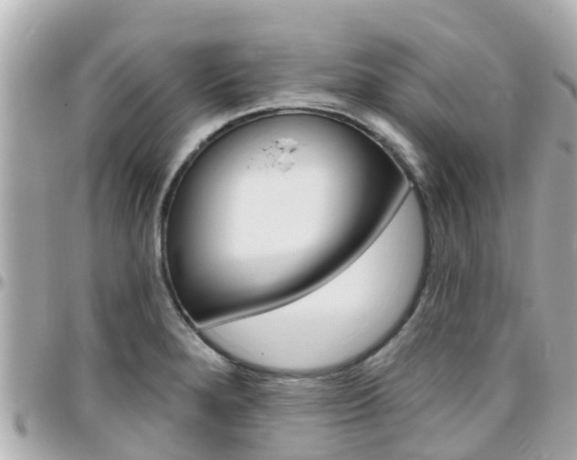 X0000096451280200801241132