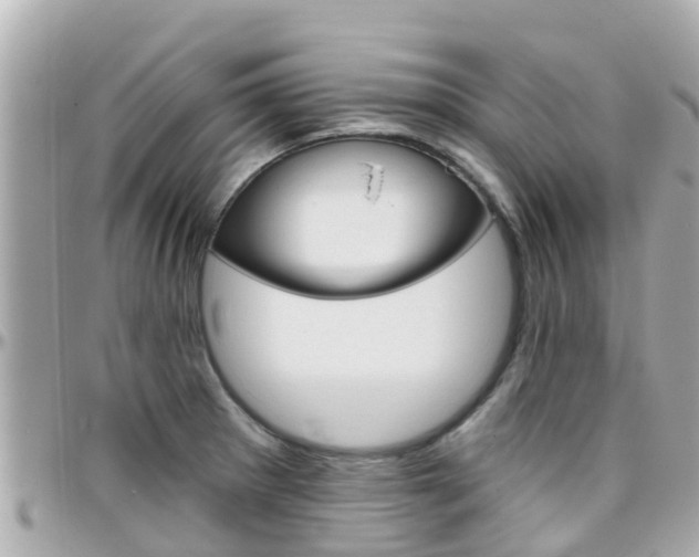 X0000096451281200801241132