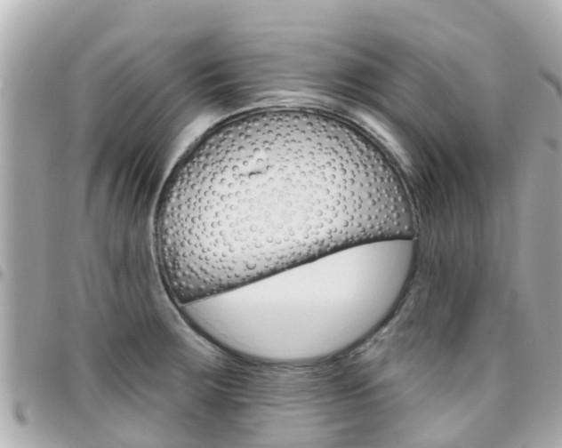 X0000096451283200801241132