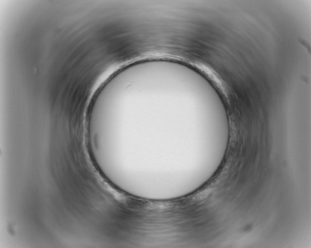 X0000096451286200801241132