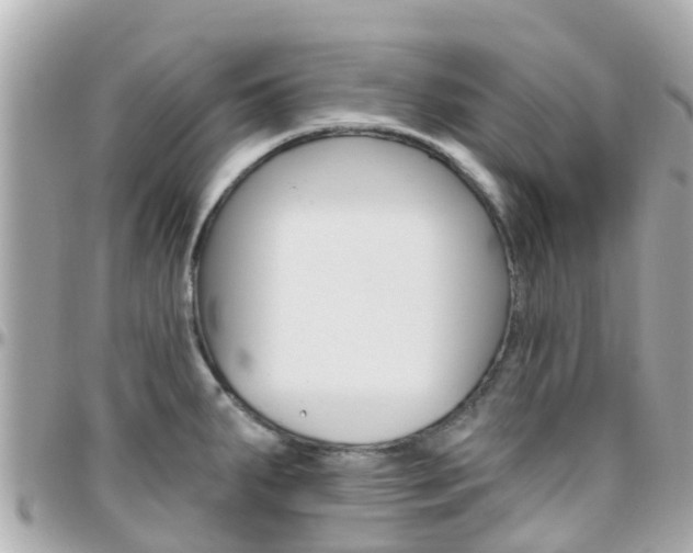 X0000096451287200801241132