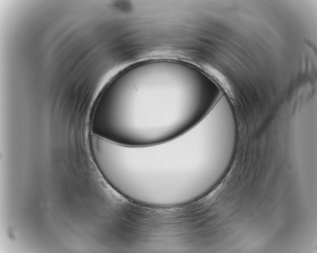 X0000096451288200801241132