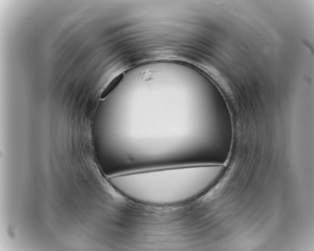 X0000096451289200801241132