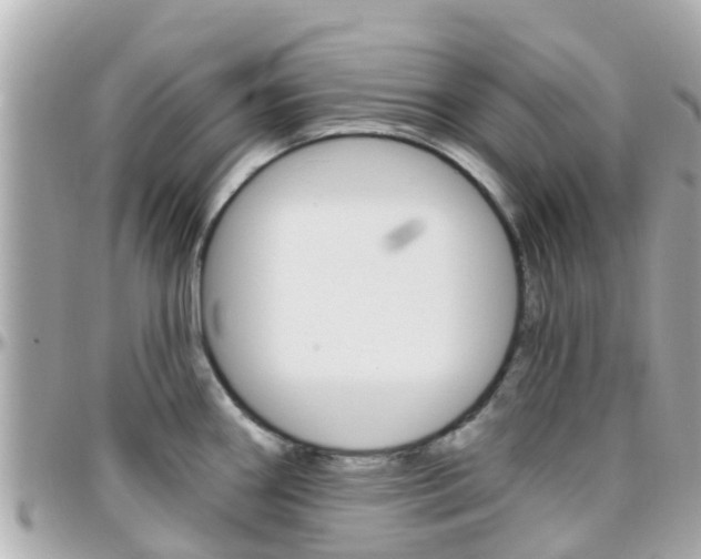 X0000096451290200801241131