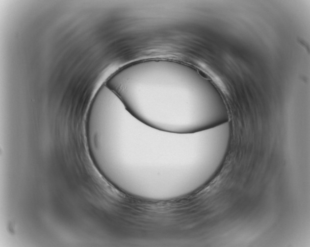 X0000096451291200801241131
