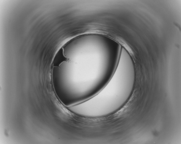 X0000096451292200801241131