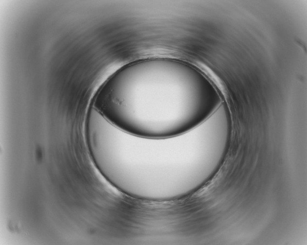 X0000096451293200801241131