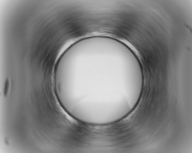X0000096451294200801241131