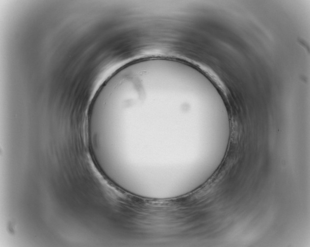 X0000096451295200801241131