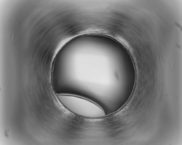 X0000096451296200801241131