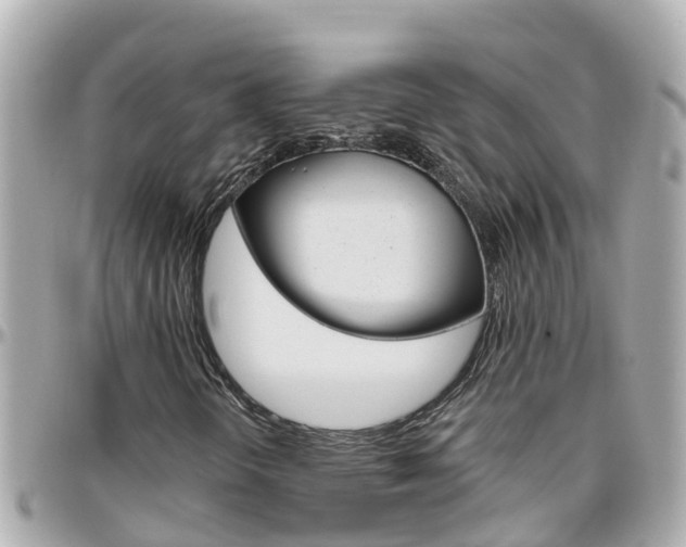 X0000096451298200801241131