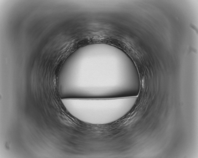 X0000096451299200801241131