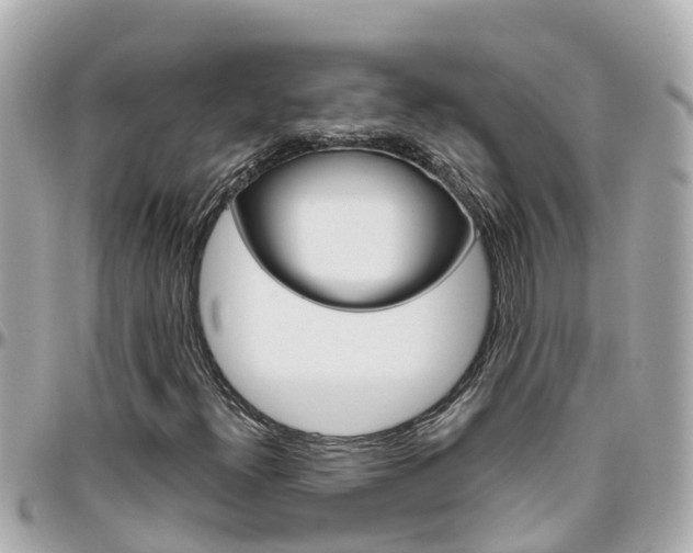 X0000096451300200801241131