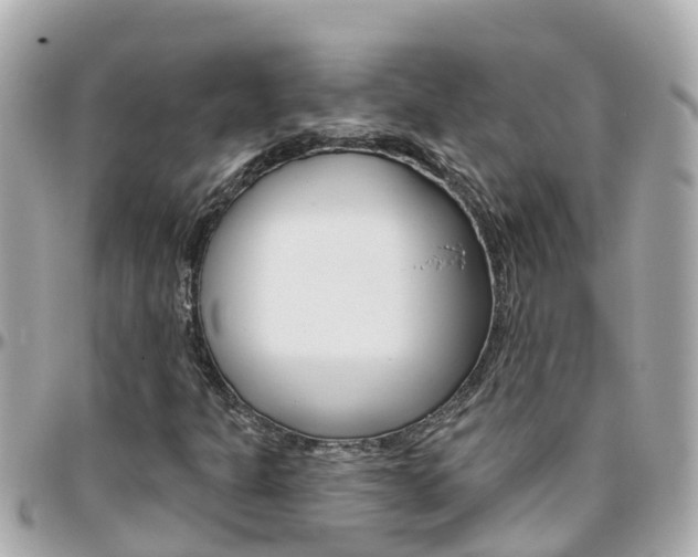 X0000096451301200801241131