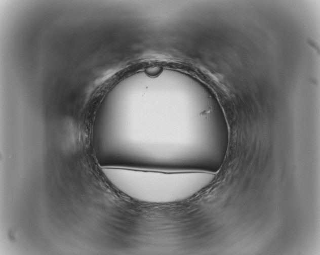 X0000096451303200801241131