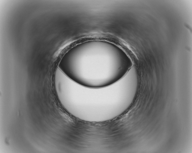 X0000096451304200801241131