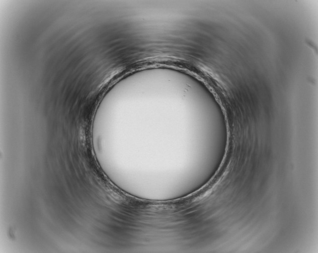 X0000096451305200801241131