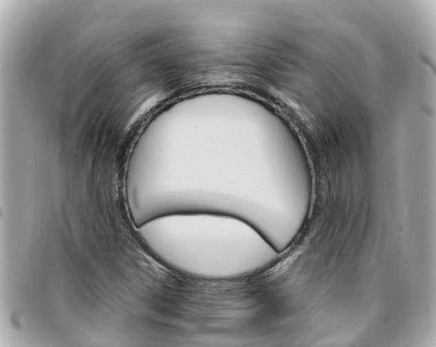 X0000096451306200801241131