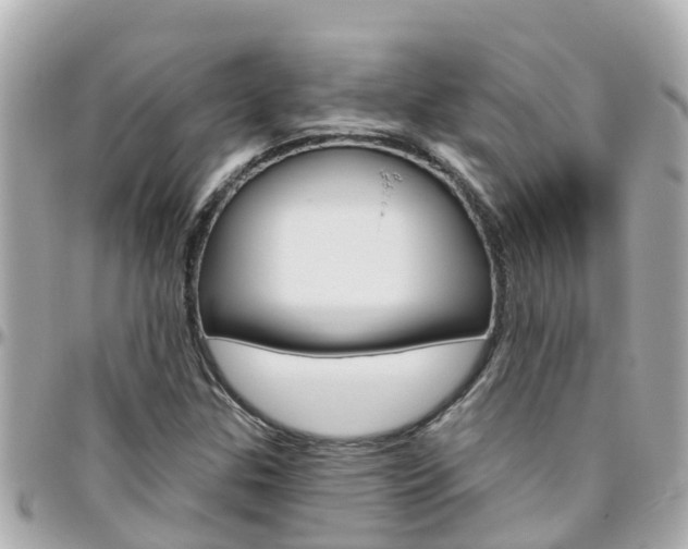 X0000096451307200801241131