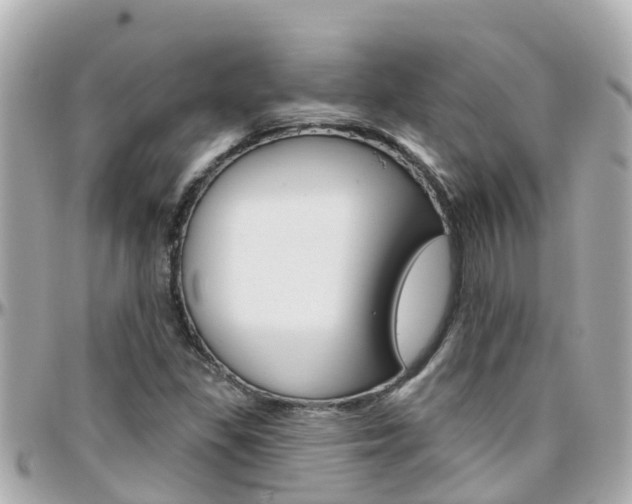 X0000096451309200801241131