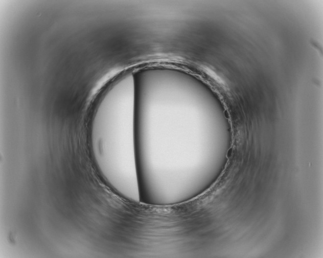 X0000096451310200801241131