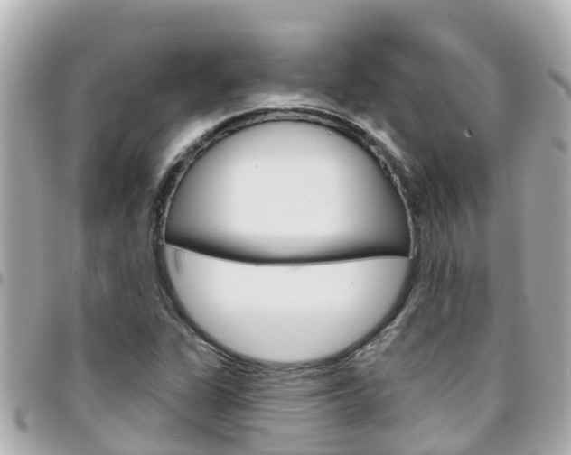 X0000096451311200801241131