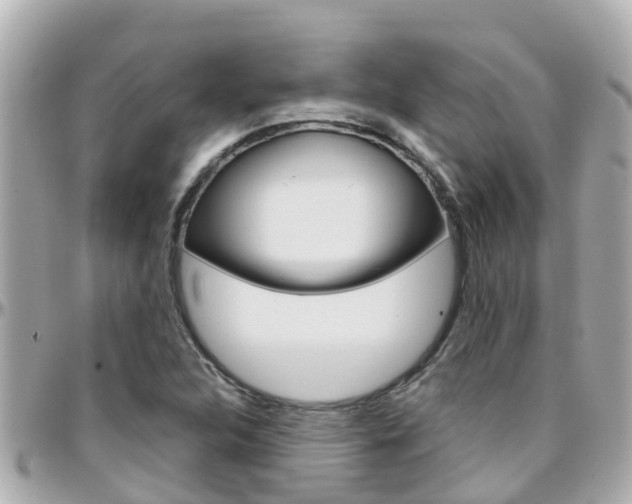 X0000096451312200801241131