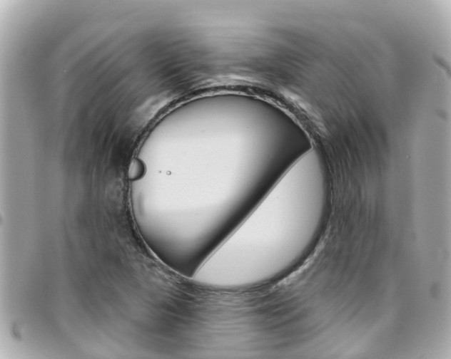 X0000096451313200801241131