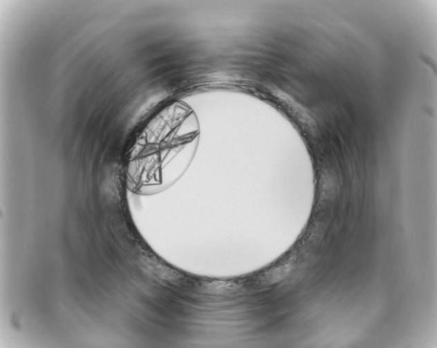 X0000096451314200801241131