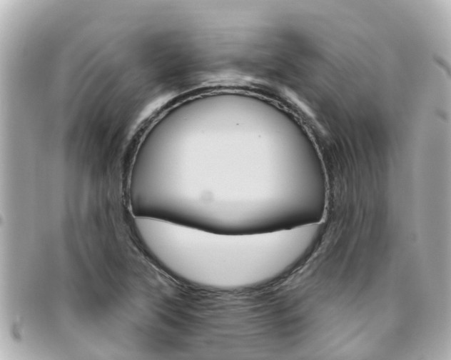 X0000096451315200801241131